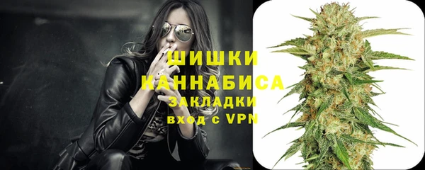 прущий лед Алзамай