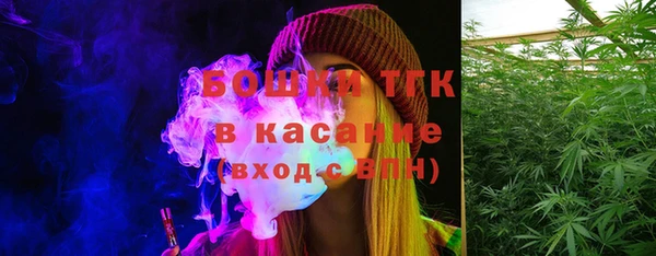 прущие грибы Алексеевка