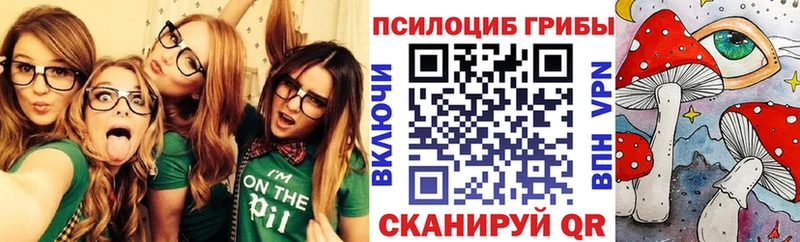 где найти наркотики  Пыталово  Псилоцибиновые грибы Cubensis 